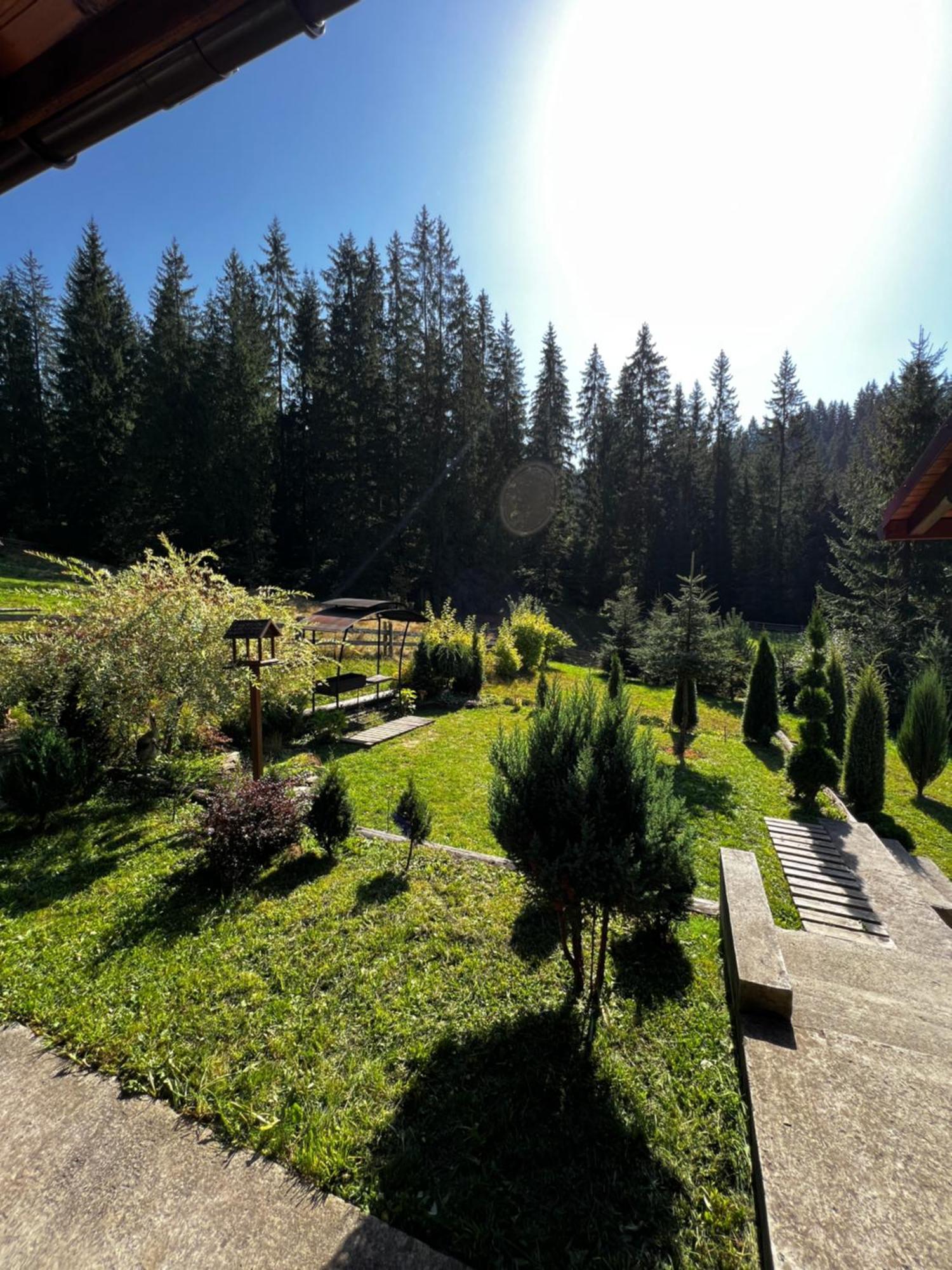 Marmarosy Hotel Vorohta Kültér fotó